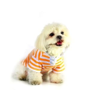 NWT -n STRIPE POLO SHIRT - ORANGE